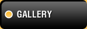 Plainview Garage Doors Gallery